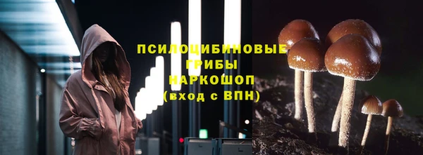 spice Верхний Тагил