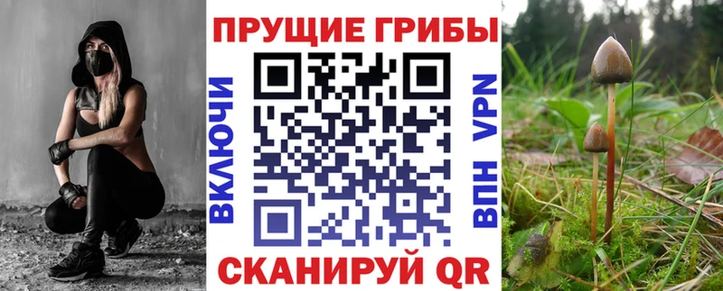 наркотики  Евпатория  mega ONION  Галлюциногенные грибы Psilocybe 